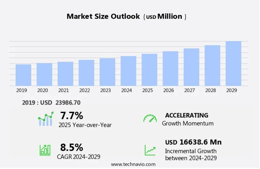 The Future of Luggage: Market Trends and Growth Forecast (2025-2029)
